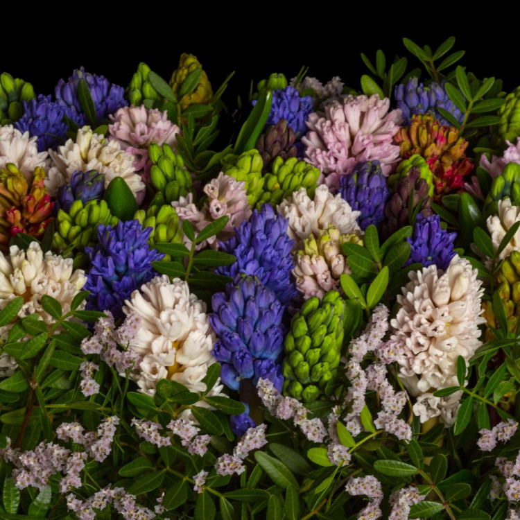 Colorato