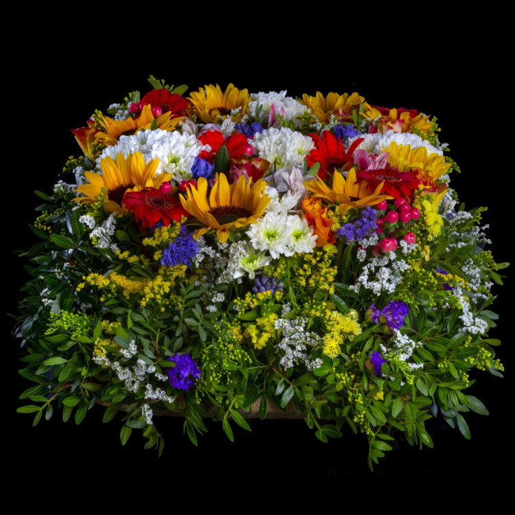 Flora