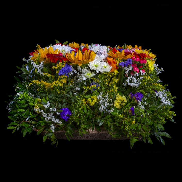 Flora