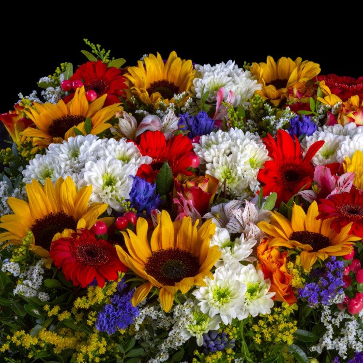 Flora